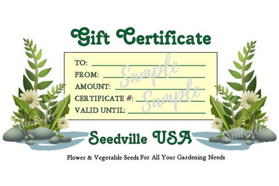 Seedville USA Shop Gift Certificate - Ferns Rock Design - By Email or Postal Mail - You Choose Amount
