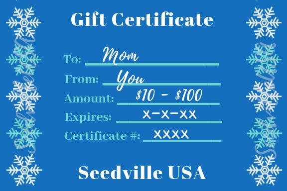 Seedville USA Shop Gift Certificate - Season's Greetings Hanukkah or Christmas Design - By Email or Postal Mail - You Choose Amount