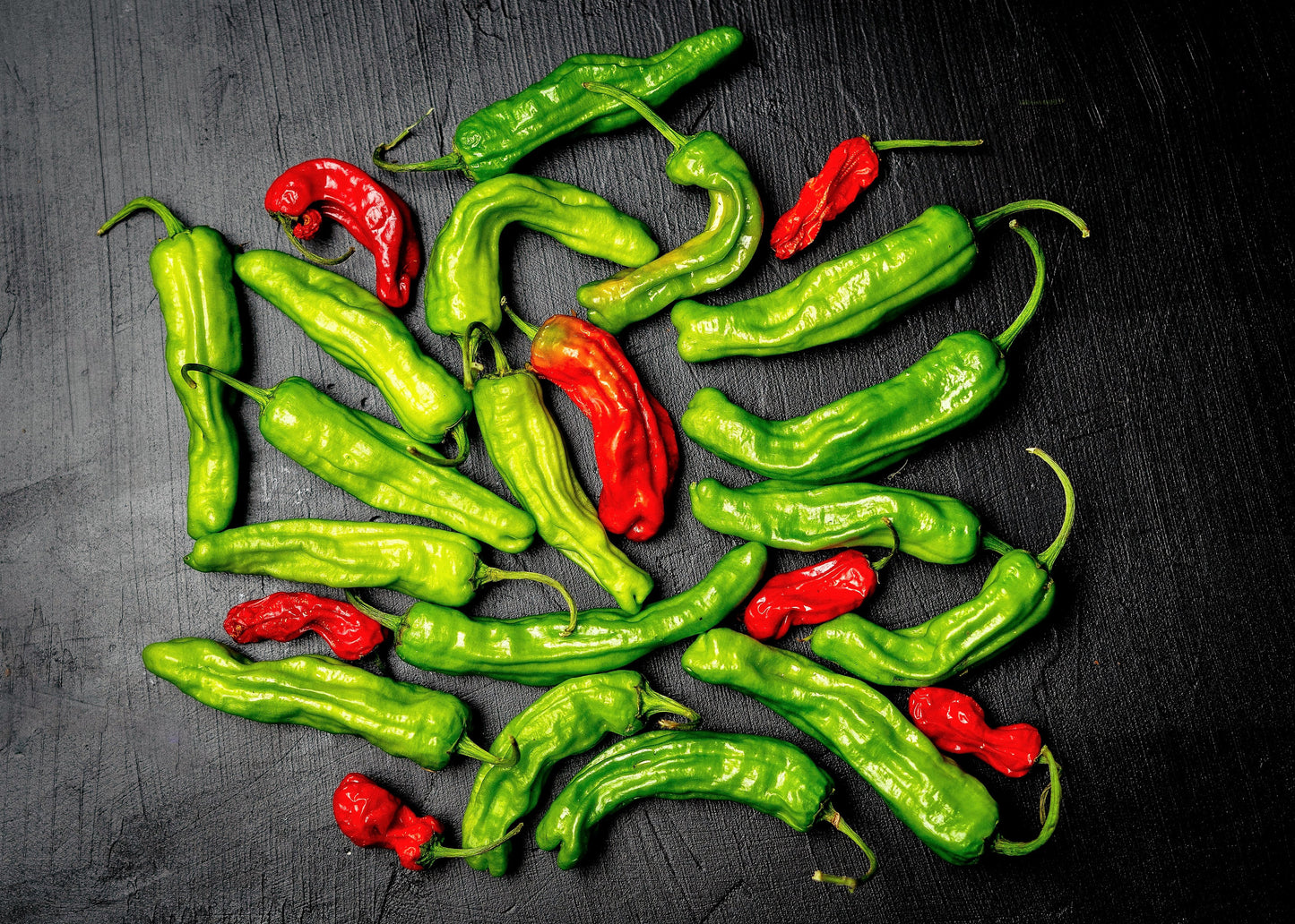 50 SHISHITO PEPPER Green to Red Mild Japanese Chili Capsicum Annuum Vegetable Seeds