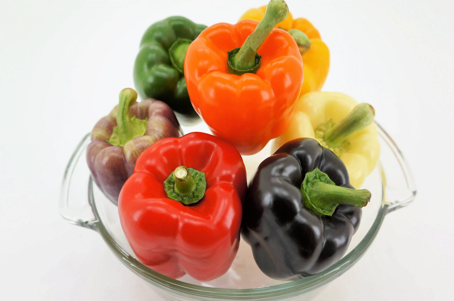 150 RAINBOW BELL PEPPER Sweet Red, Green, Yellow, Orange, Purple, Brown, & White Capsicum Annuum Vegetable Seeds