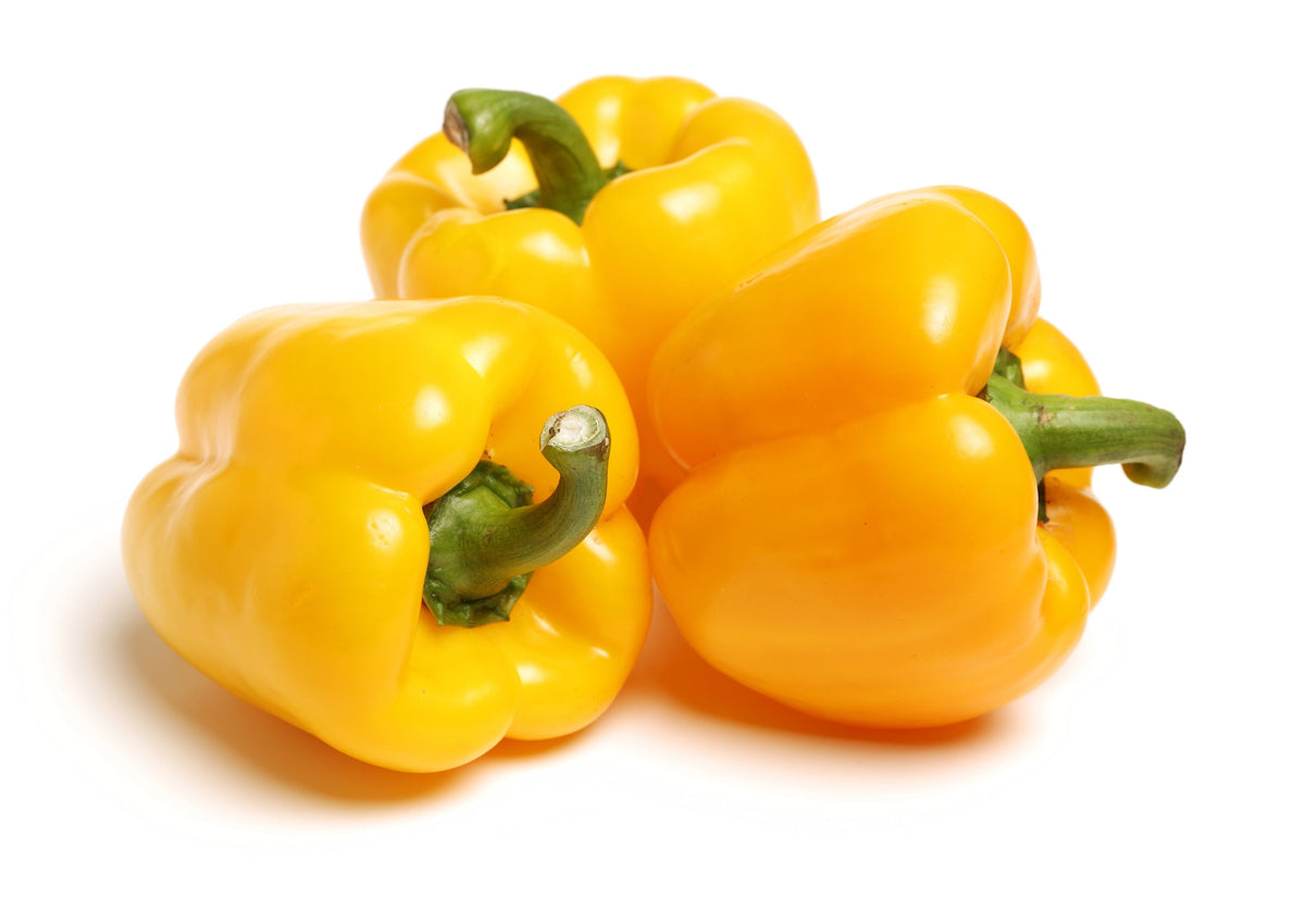 20 Organic Yellow MINI BELL PEPPER Sweet Mild Miniature Capsicum Annuu ...