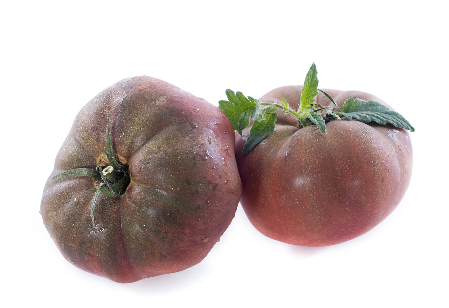 80 BLACK KRIM TOMATO Solanum Lycopersicum Indeterminate Heirloom Beefsteak Fruit Vegetable Seeds