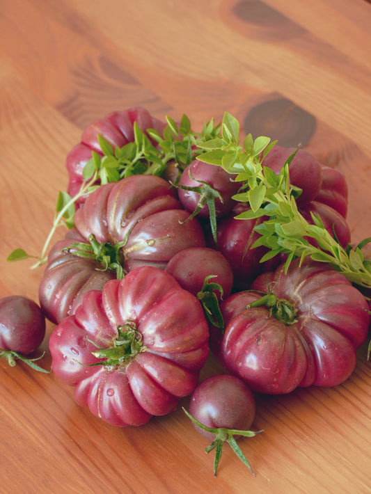 40 PURPLE CALABASH TOMATO Solanum Lycopersicum Indeterminate Heirloom Beefsteak Fruit Vegetable Seeds