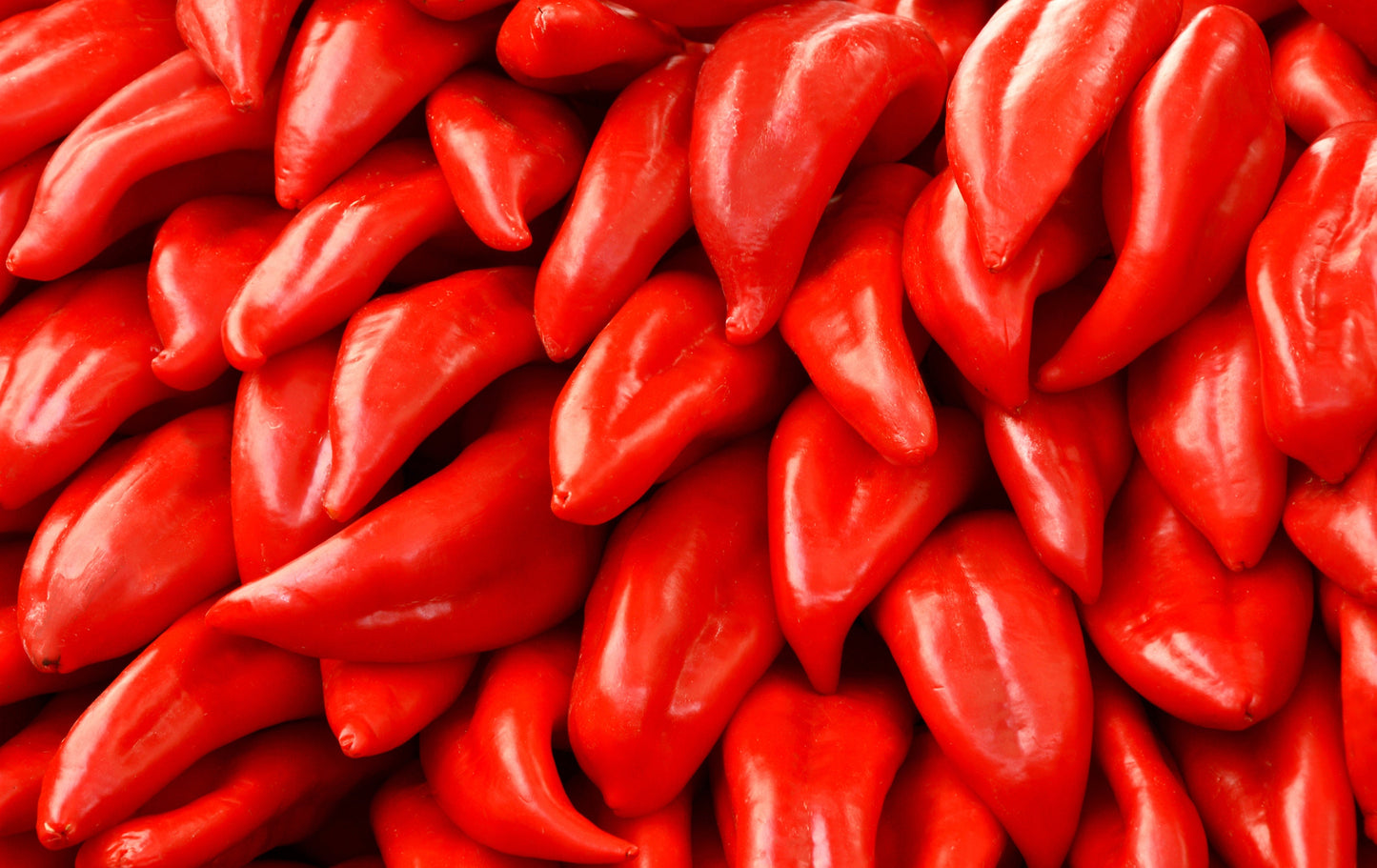 100 BIG JIM PEPPER Green to Red Big 12" Chili Mild Heat Capsicum Annuum Vegetable Seeds