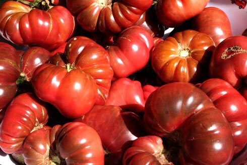 40 PURPLE CALABASH TOMATO Solanum Lycopersicum Indeterminate Heirloom Beefsteak Fruit Vegetable Seeds