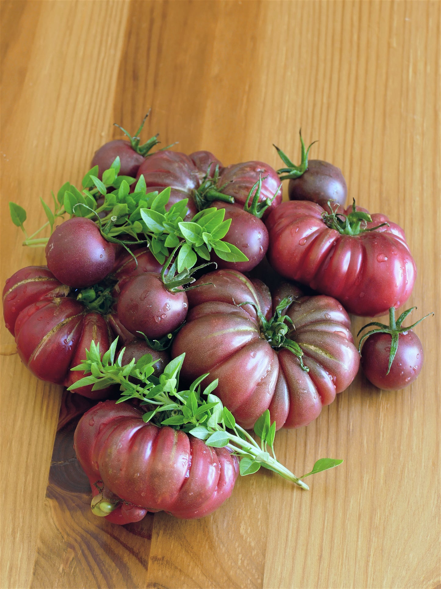40 PURPLE CALABASH TOMATO Solanum Lycopersicum Indeterminate Heirloom Beefsteak Fruit Vegetable Seeds