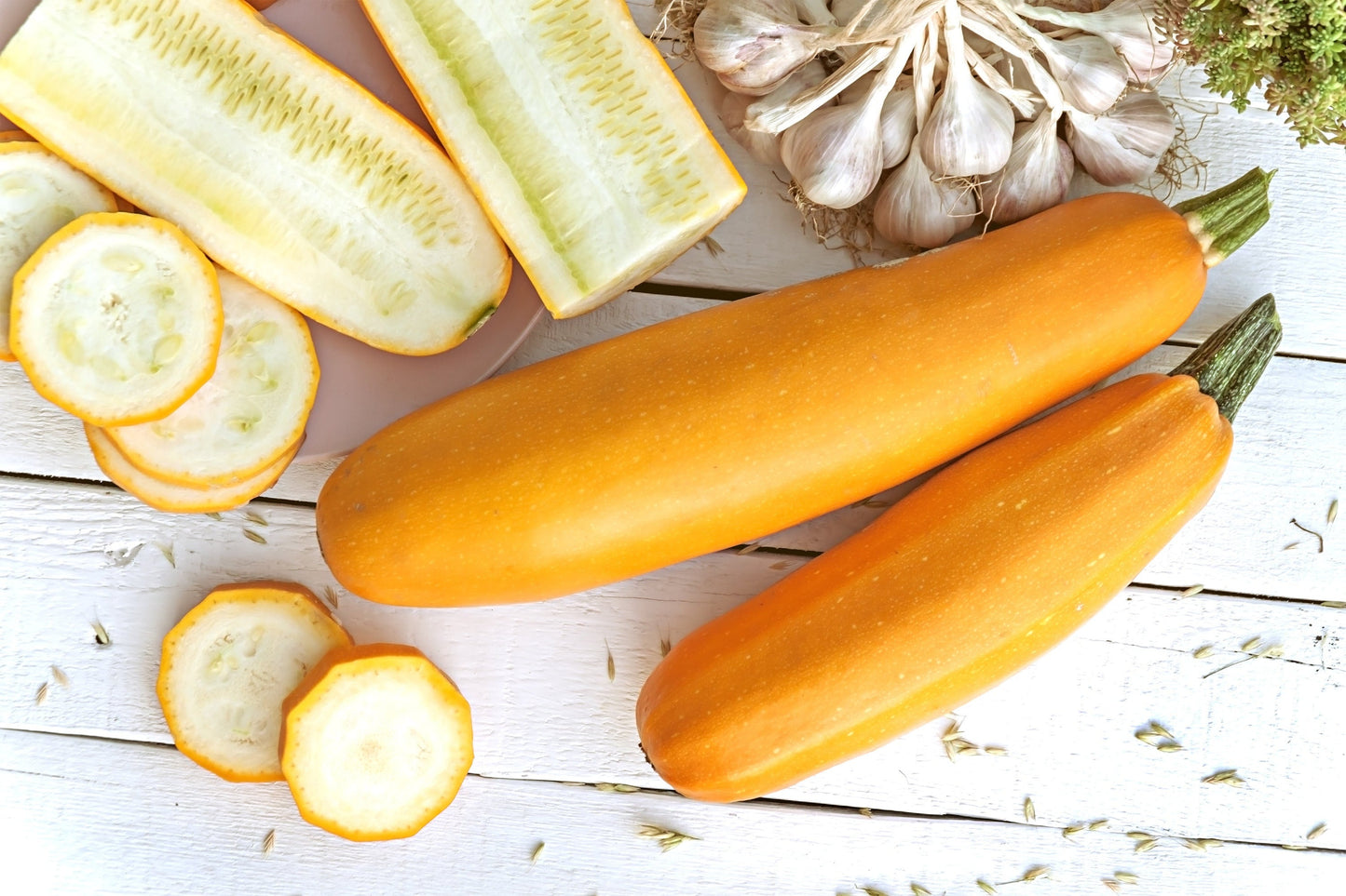 50 GOLDEN ZUCCHINI Heirloom Summer Bush Squash Cucurbita Pepo Yellow Vegetable Seeds