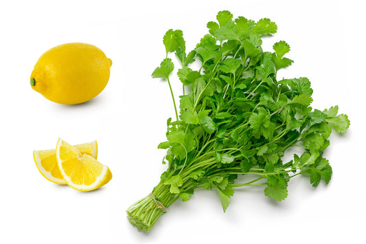 25 Organic DWARF LEMON CILANTRO Coriander Spice Coriandrum Sativum Fragrant Herb Seeds