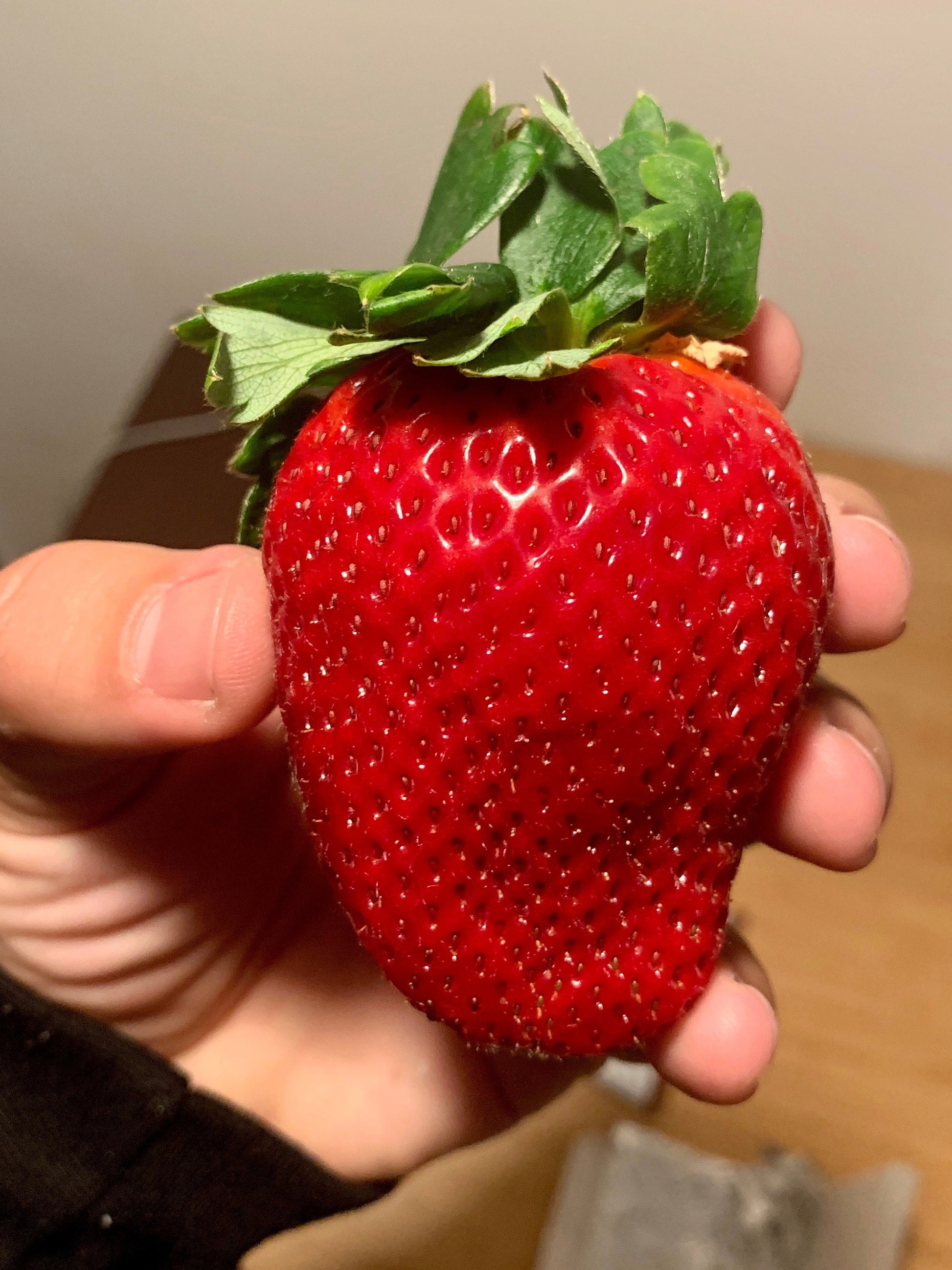 california strawberry seeds 15 GIANT STRAWBERRY Fragaria spp June Bearing Huge Red Berry Fruit White Flower Seeds