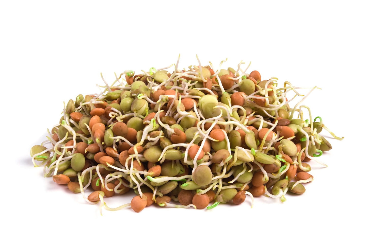 ORGANIC SPROUTING MIX - Peas, Beans Mung, Adzuki Bean, and Green, French, & Red Lentil Vegetable Sprout Seeds
