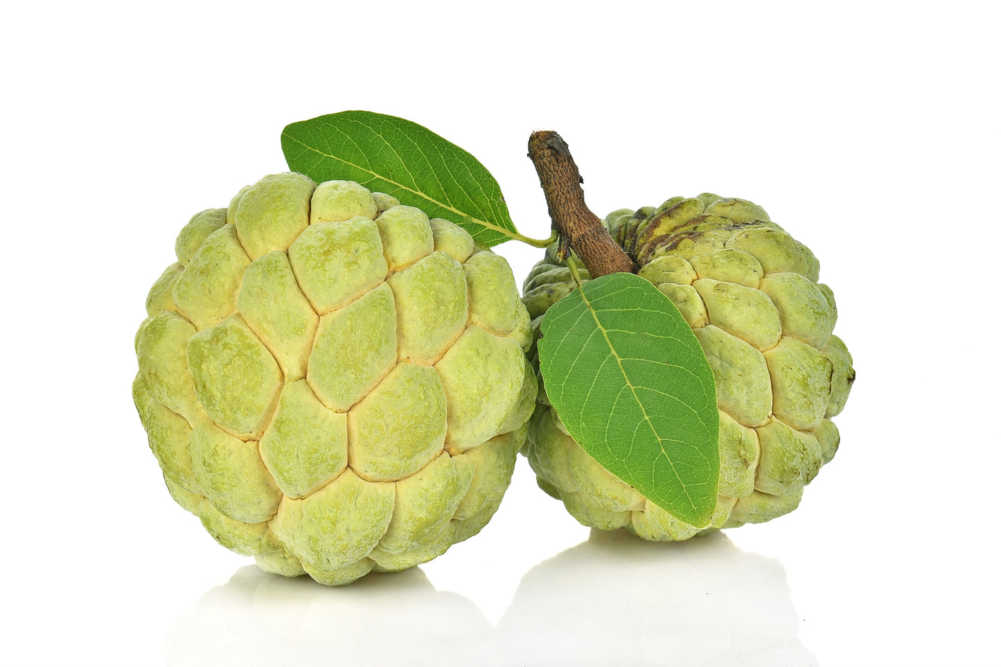 15 SUGAR APPLE Sweetsop Custard Apple Annona Squamosa Sweet Delicious Edible Fruit Tree Seeds