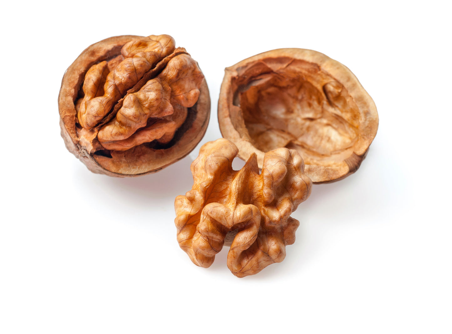 5 ENGLISH WALNUT aka Common, Hardy Carpathian, Persian Nut Fruit Tree Juglans Regia Orientis Seeds