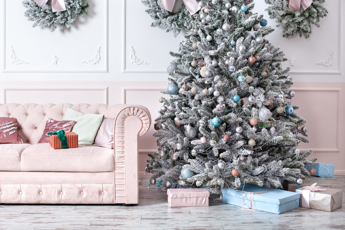 Grow Your Own CHRISTMAS TREE COLLECTION - 4 Gift Packets of Tree Seeds ...