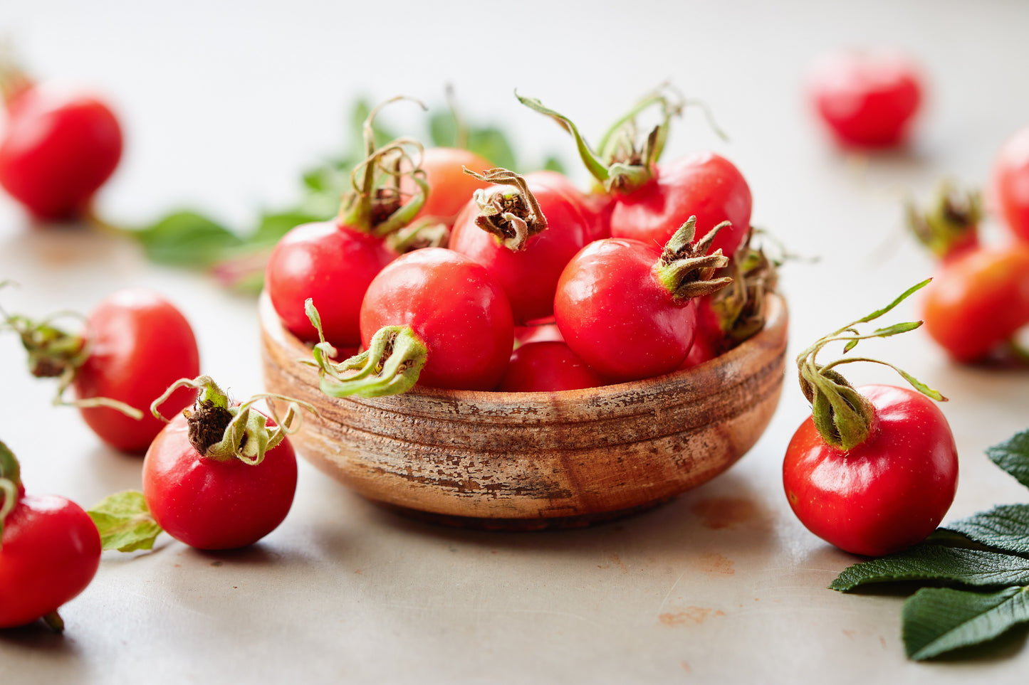 50 Pink BEACH ROSE aka Seaside or Sand Rose, Beach Tomato Rosa Rugosa Huge Red Hips Flower Seeds